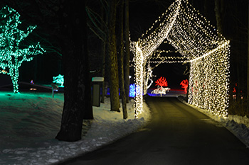 Nativity and Lights Inspire at Joseph Smith Birthplace Memorial ...