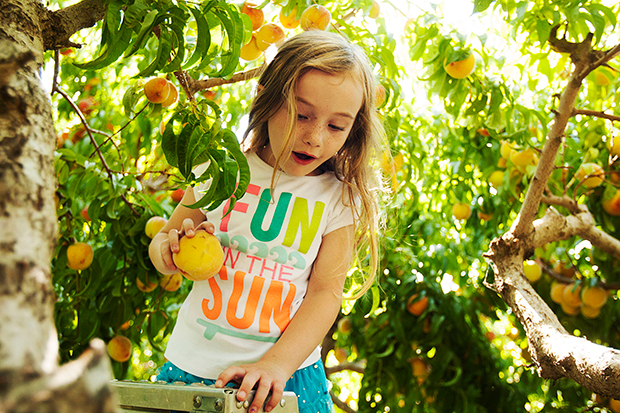 Bumper Crop at LDS Farms, Orchards Will Help Feed Those in Need ...