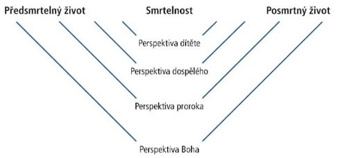 schéma úhlu pohledu