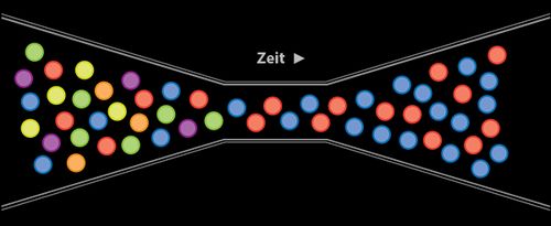 Darstellung des genetischen Flaschenhalses