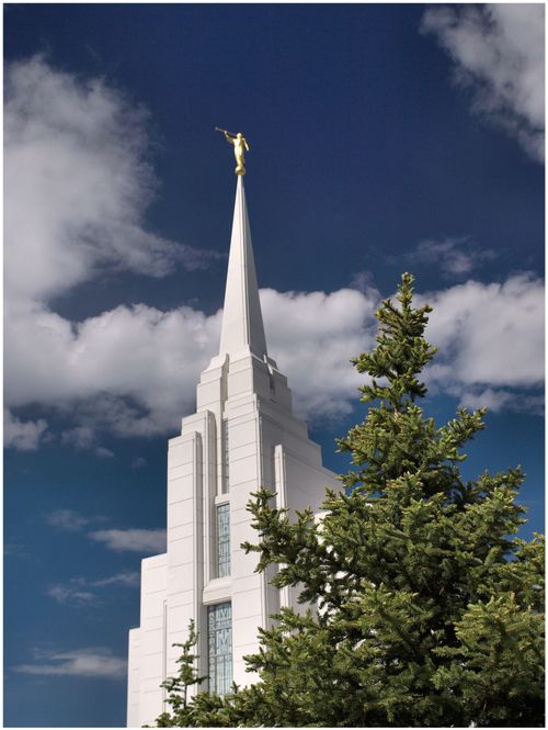 The spire of the Rexburg Idaho Temple extending above a tree on the temple grounds, with the angel Moroni on top.