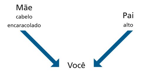 esquema, pais, características, você