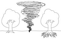 drawing, trees and whirlwind
