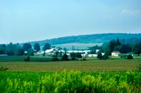 Granja cerca de Freedom, Nueva York