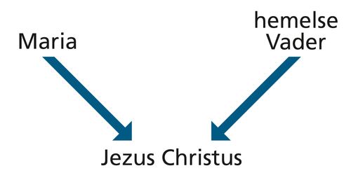 Diagram with the words Mary and Heavenly Father and arrows pointing to the words Jesus Christ.