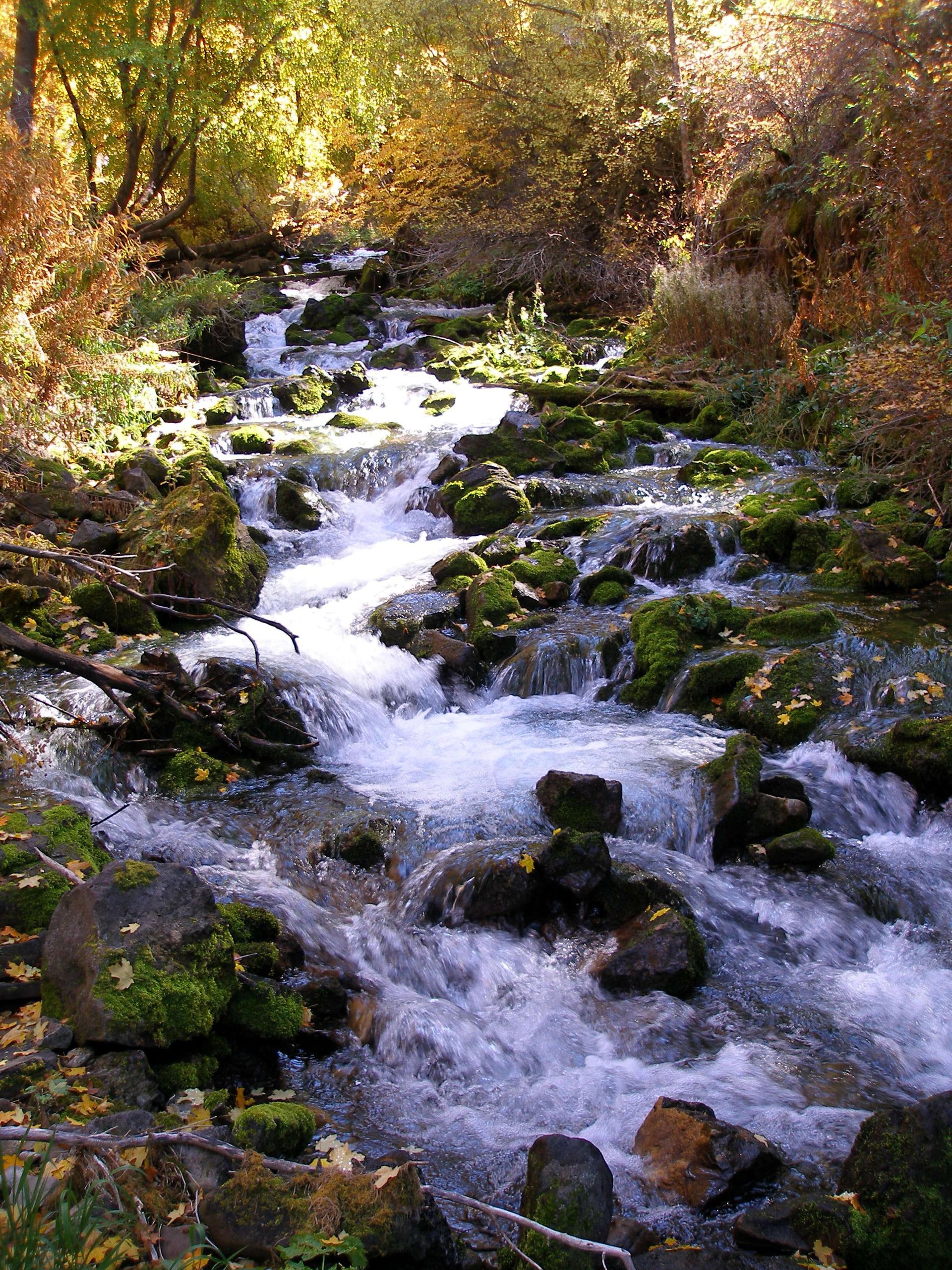 A river runs over rocks near trees with autumn leaves.
