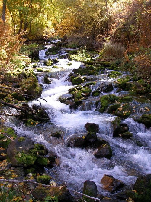 A river runs over rocks near trees with yellow, orange, and green leaves.