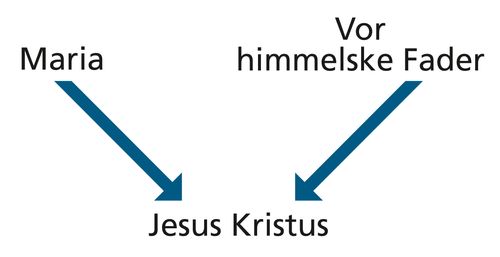 Diagram with the words Mary and Heavenly Father and arrows pointing to the words Jesus Christ.