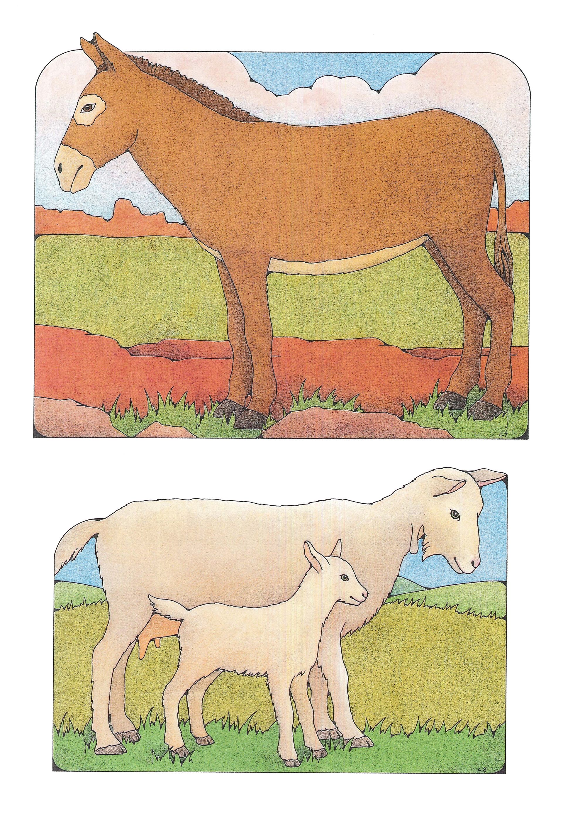 Primary Visual Aids: Cutouts 4-7, Donkey; 4-8, Mother and Baby Goat.