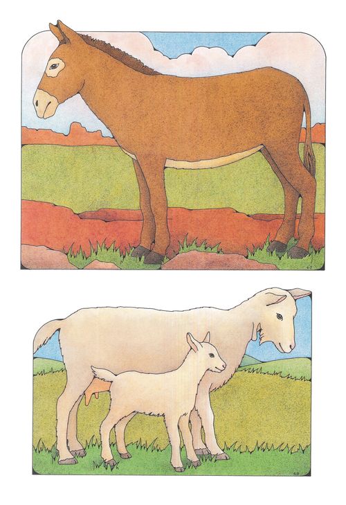 Two Primary cutouts of a brown donkey standing and a white mother goat standing beside her baby.