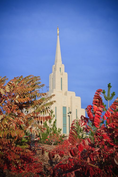 The spire of the Oquirrh Mountain Utah Temple rising over the red leaves of an autumn tree on the temple grounds.