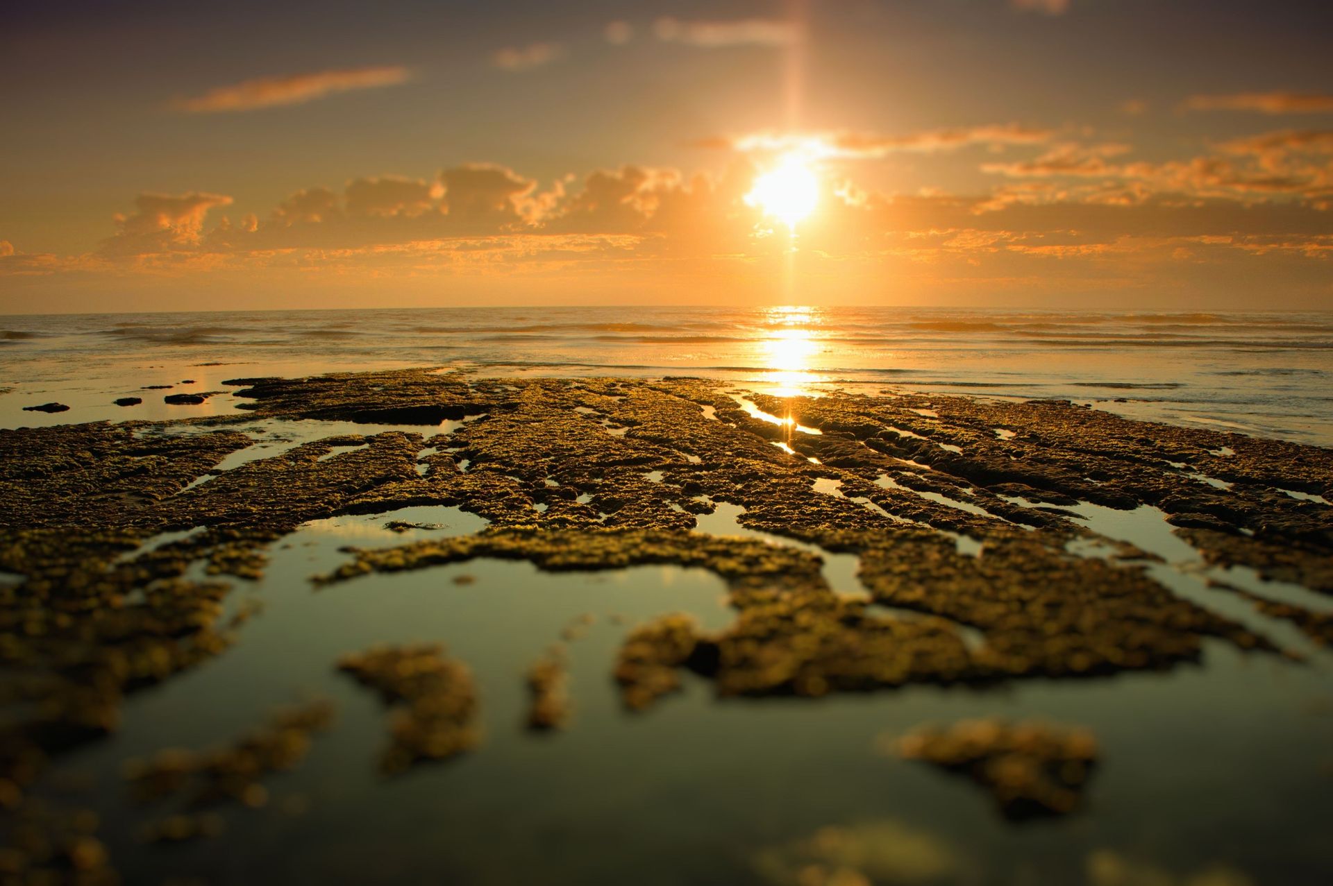 The sun sets over a tide pool.