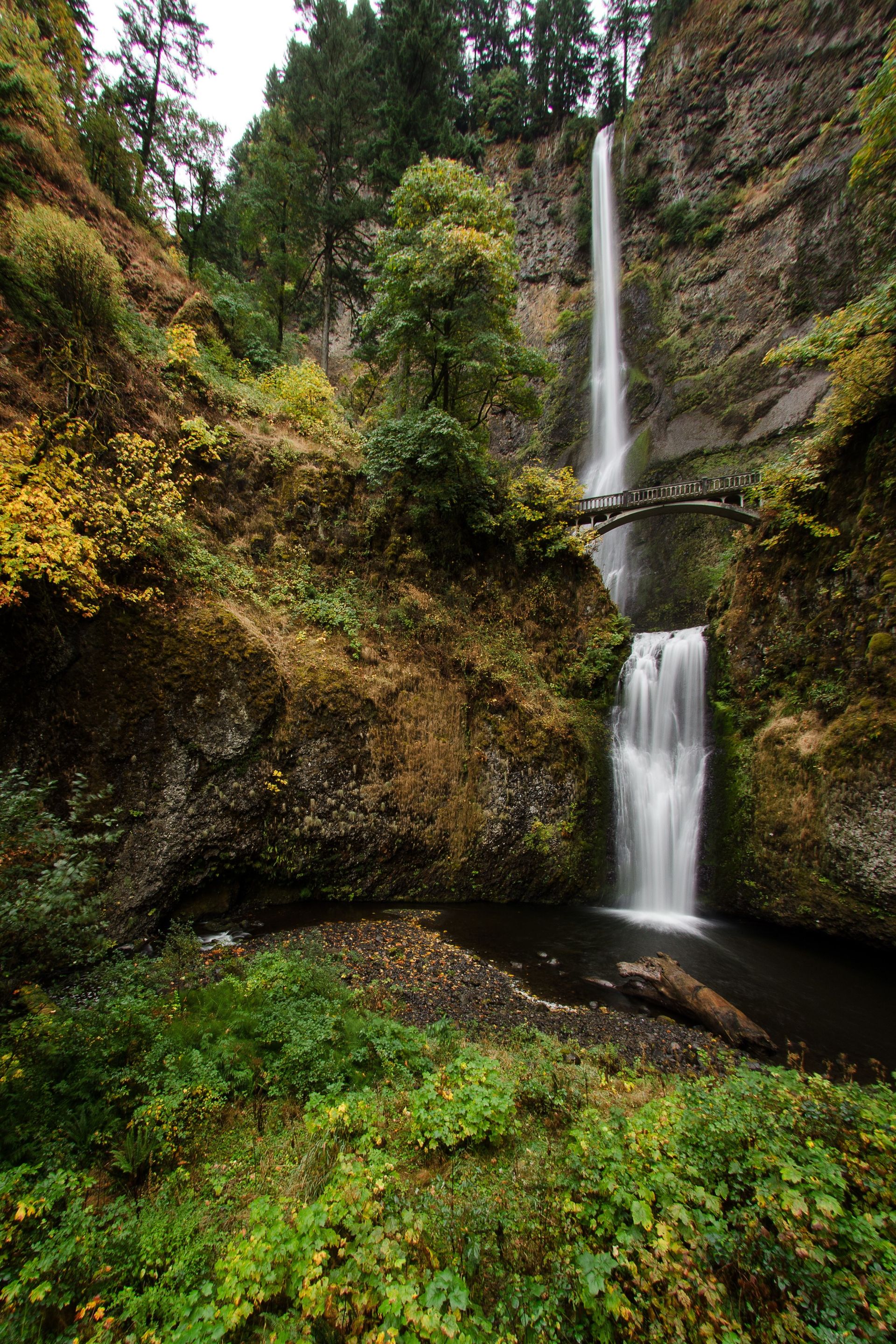 The Multnomah Falls run off the Columbia River in Oregon.