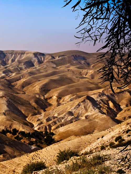 Deserto da Judeia