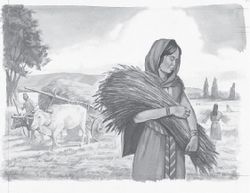 Woman carrying harvested wheat