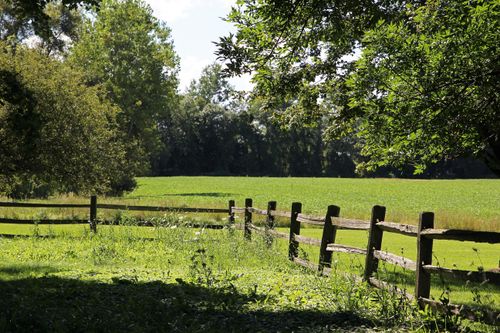 Peter Whitmer Sr. farm