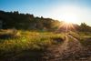 el sol resplandece sobre un valle