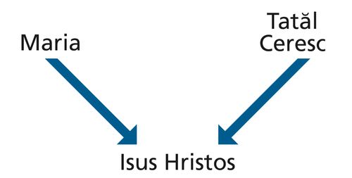 Diagram with the words Mary and Heavenly Father and arrows pointing to the words Jesus Christ.