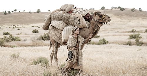 young woman with camel