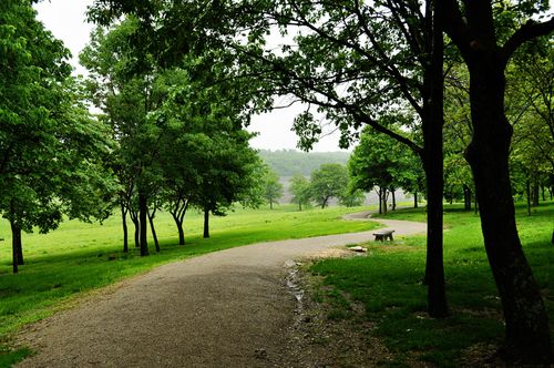 A park bench and a winding trail in Adam-ondi-Ahman in Missouri.