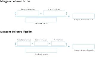 Margem de lucro bruto e margem de lucro líquido por um mês