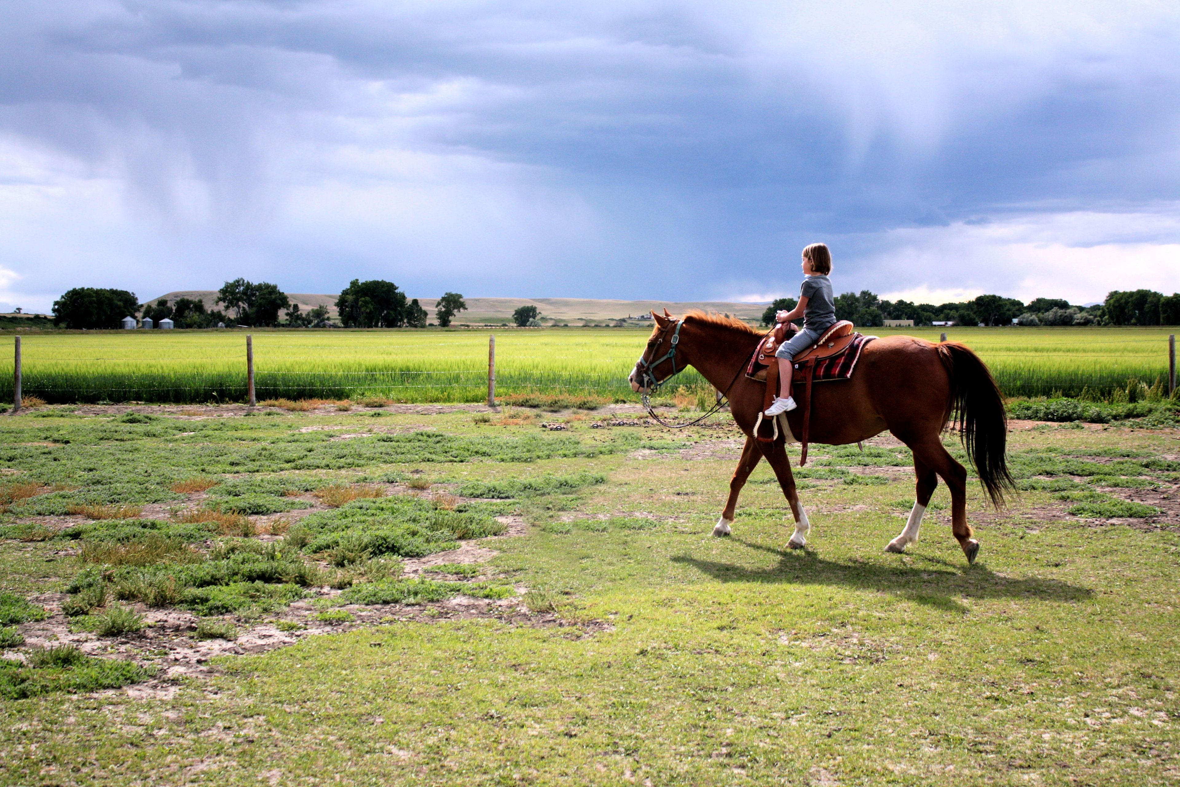 A young girl rides a horse.