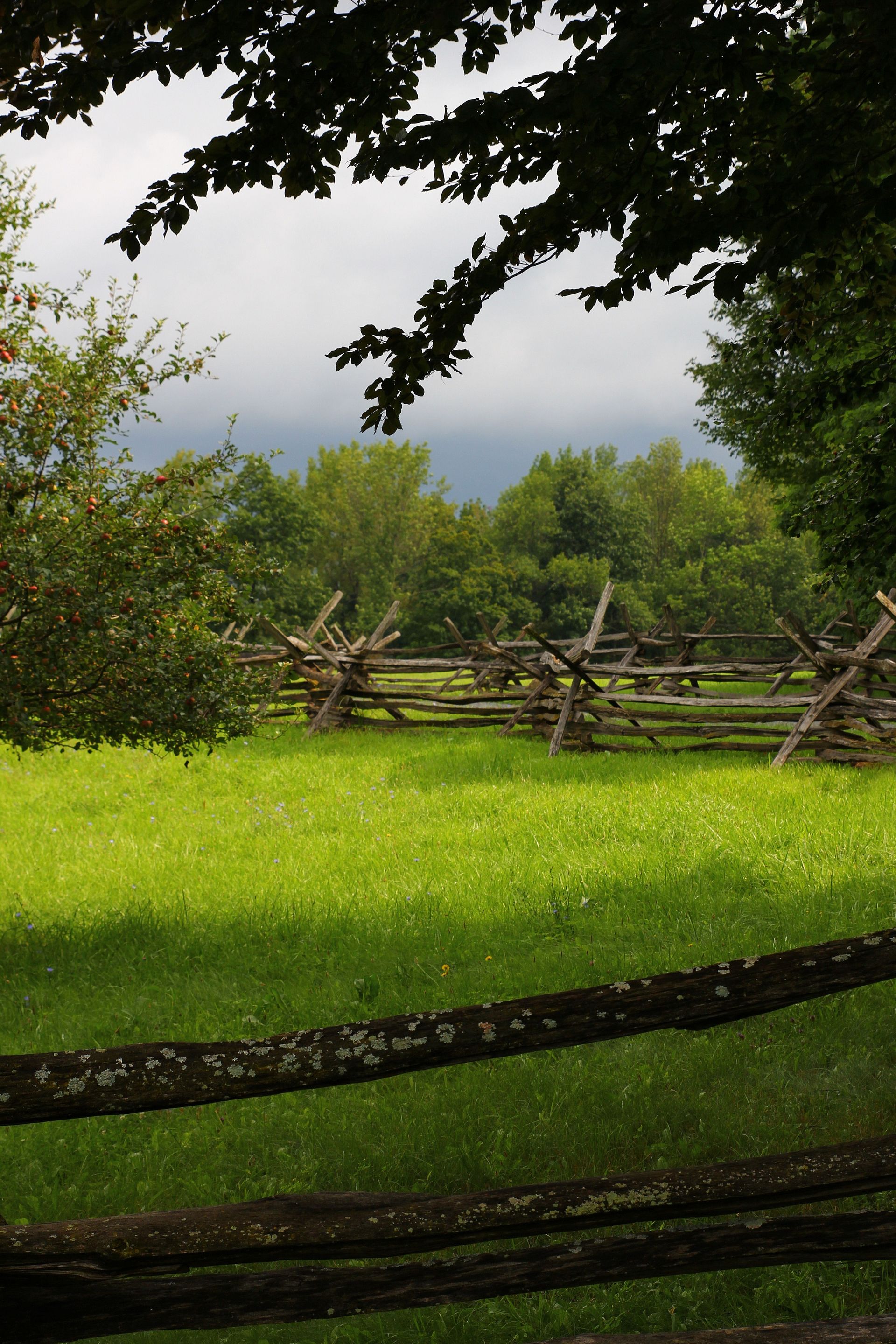 A fenced-in pasture in New York.