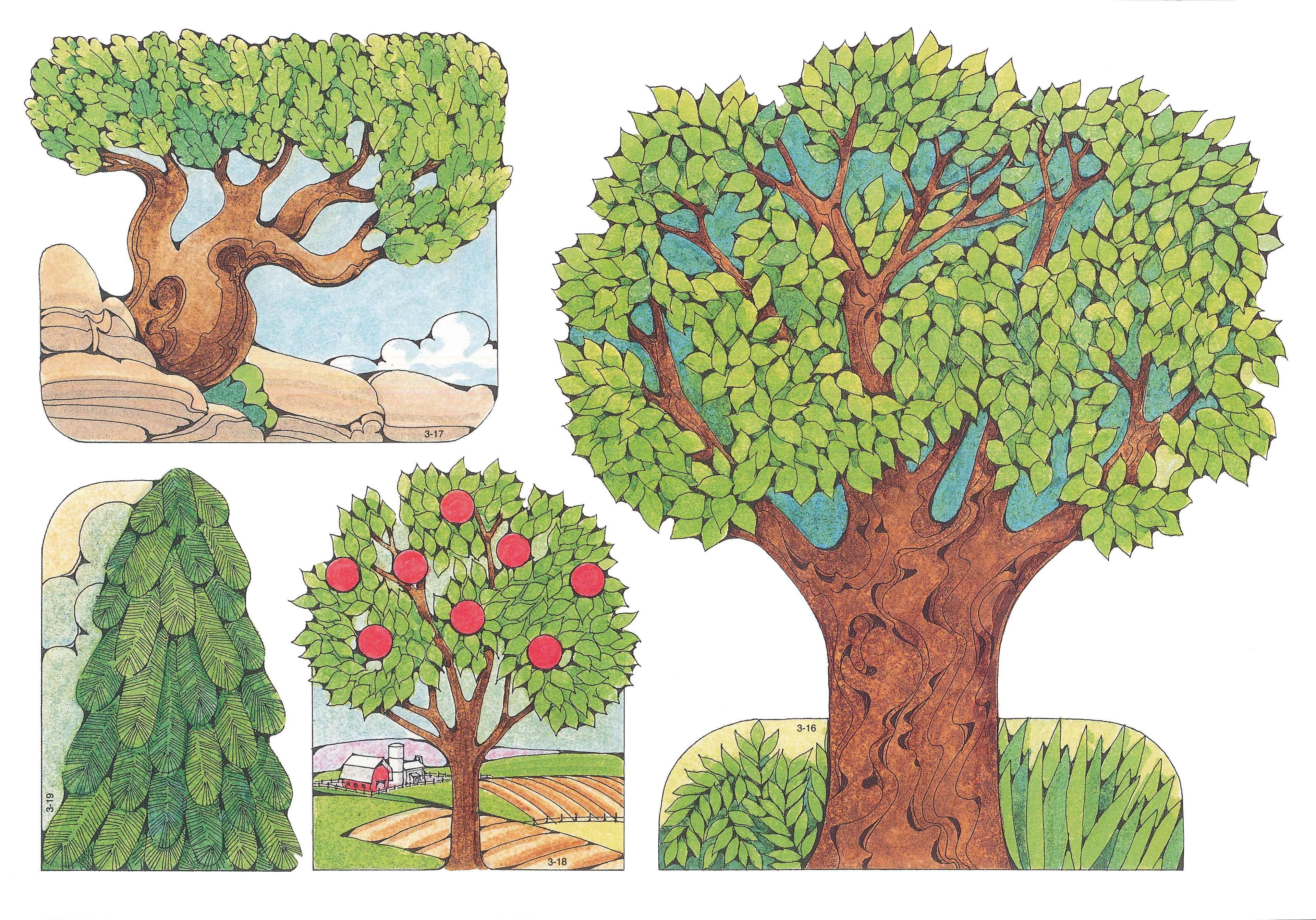 Primary Visual Aids: Cutouts 3-16, Large Tree with Grass; 3-17, Small Gnarled Tree with Rocks; 3-18, Small Tree with Red Apples on a Farm; 3-19, Small Pine Tree.