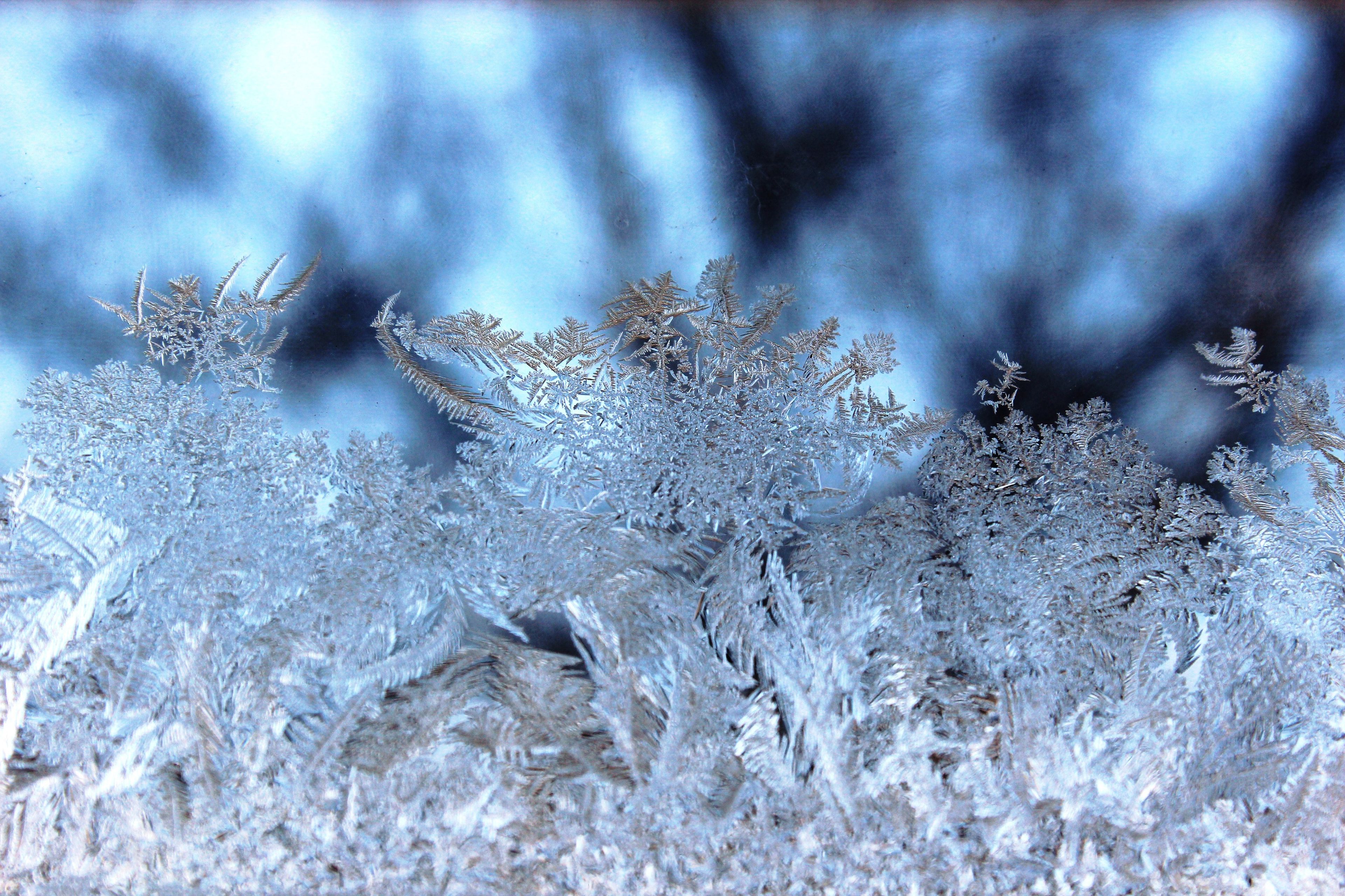 A close-up of small icicles.