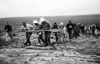 teachers with handcarts