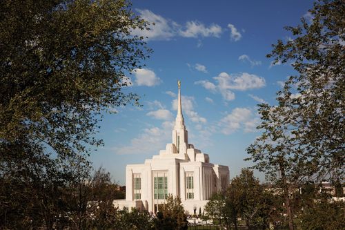 The entire Ogden Utah Temple on a sunny day, framed by the leaves of nearby trees.