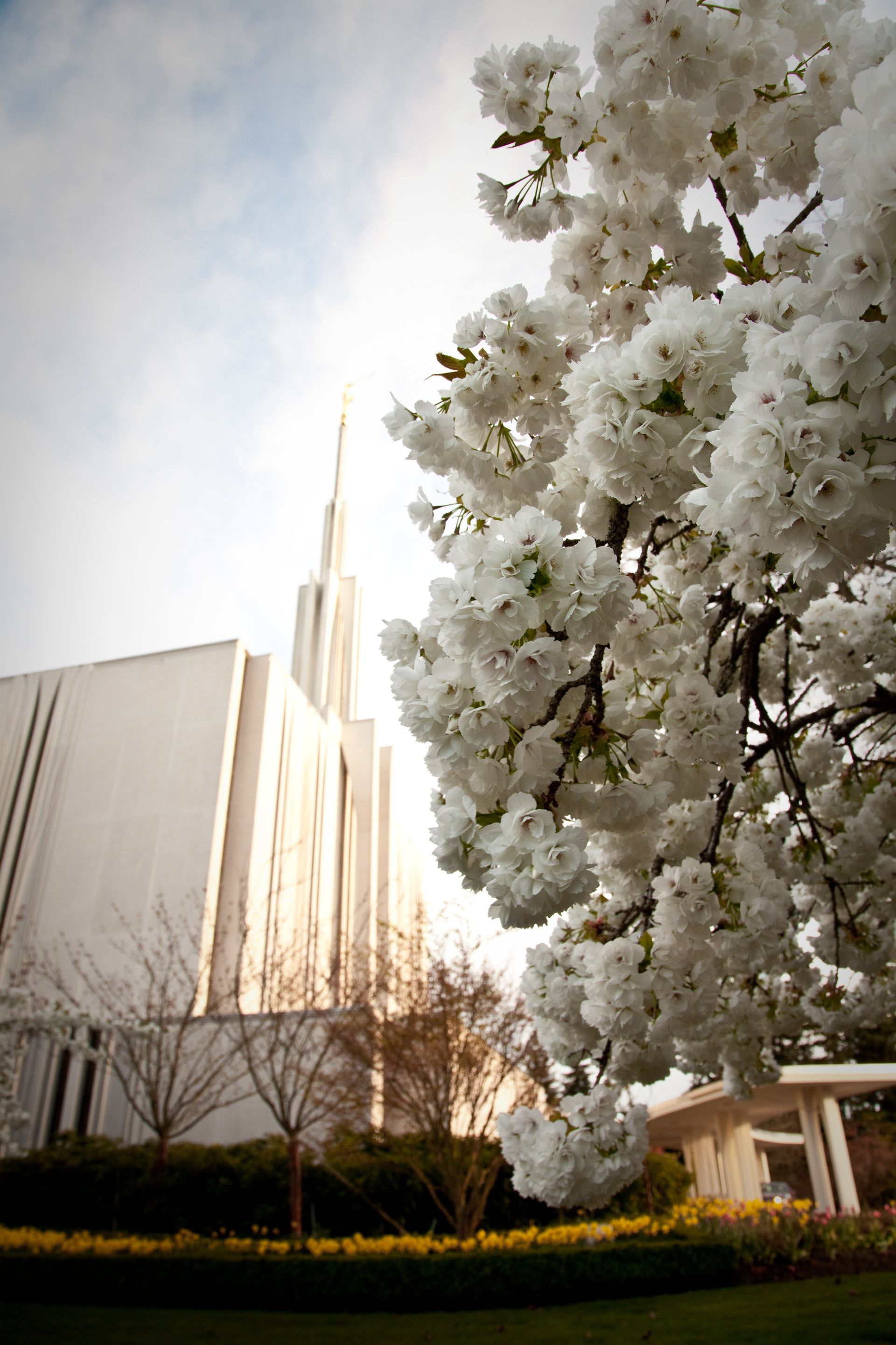 A side view of the Seattle Washington Temple in the spring, including the entrance and scenery.