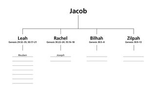 chart of Jacob’s wives and children