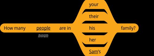 pattern 1 question how many noun are in your family