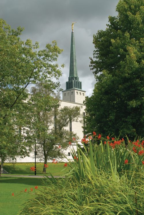 The spire of the London England Temple, seen between two trees on the temple grounds, with a flowering bush in the foreground.