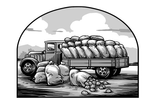 truck loaded up with sacks of potatoes