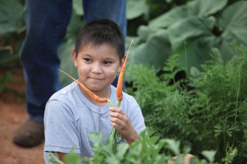 A young boy sits on the ground in a vegetable garden and holds two skinny orange carrots upside down by their stems while a man stands behind him.