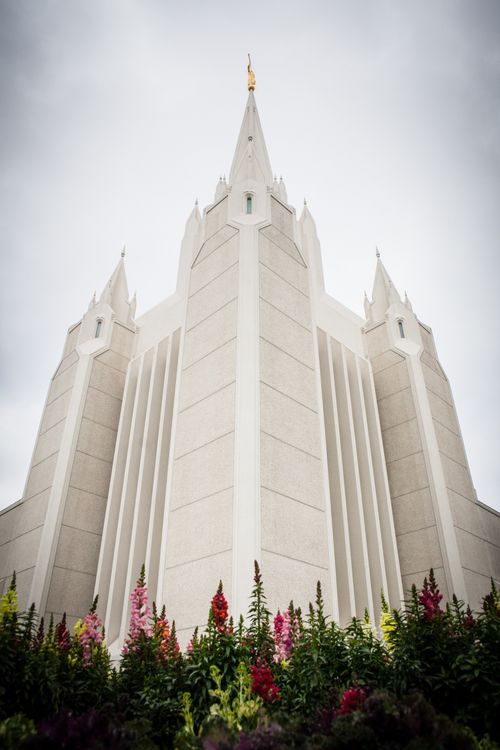 A view of the San Diego California Temple spires, with the angel Moroni on top of the highest one and with flowers in the foreground.