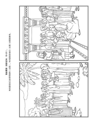 活动页：我会宽恕