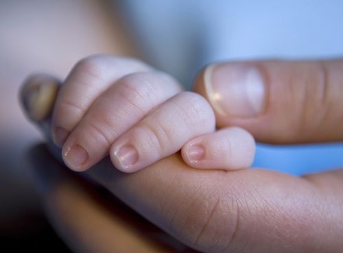 adult holding a baby’s hand