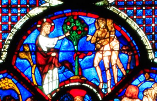 Šartras katedrāles vitrāžas logs