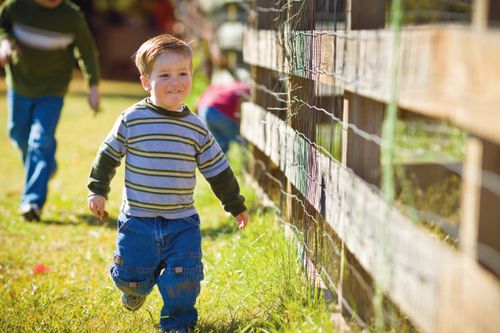 A little boy in a striped shirt smiles as he walks along a wooden fence.