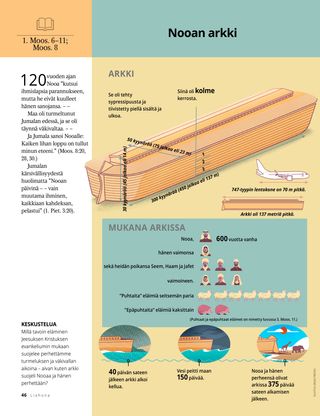 article about Noah’s ark