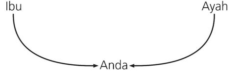 diagram, orangtua dan anak