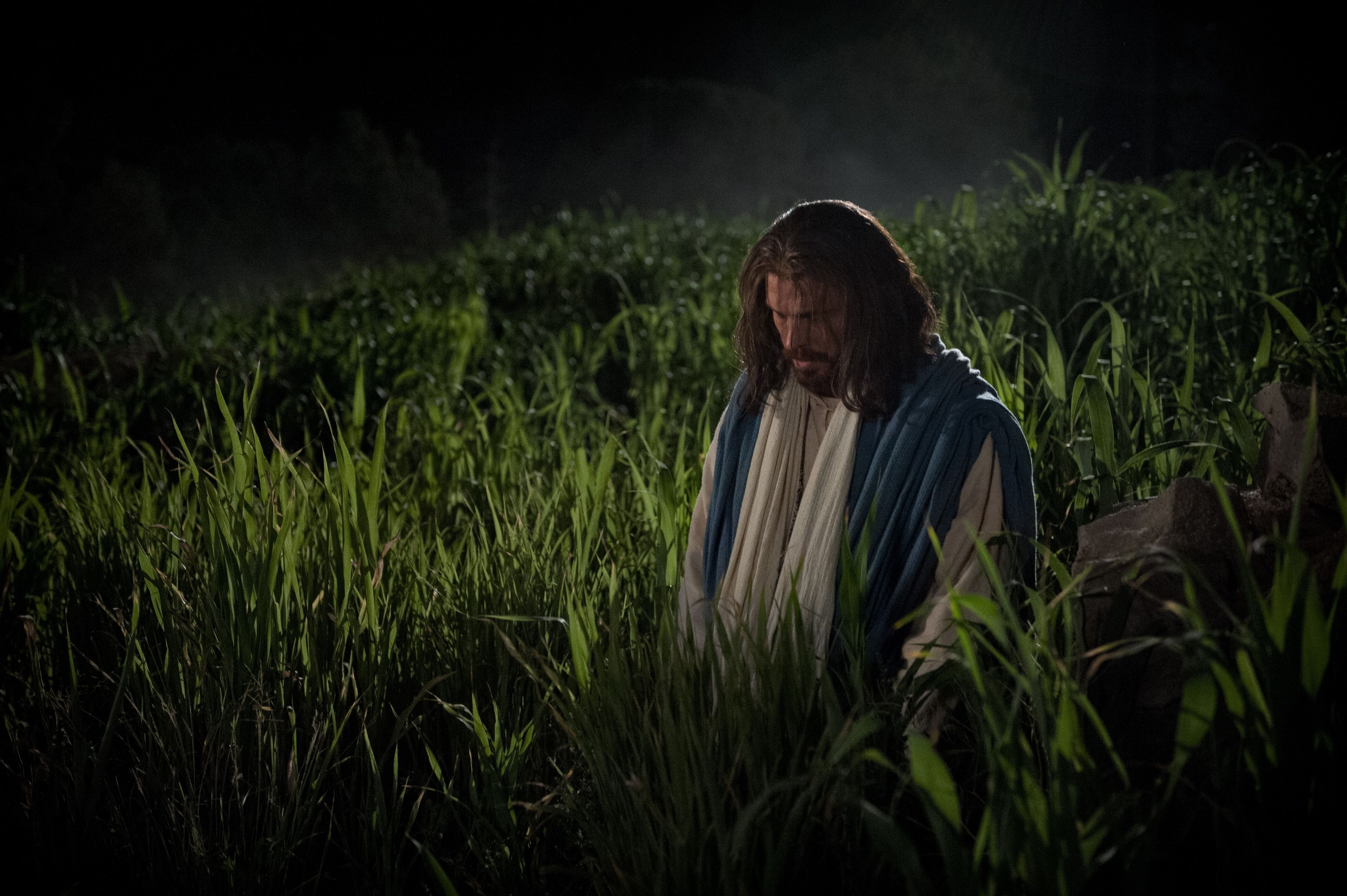 Jesus kneels and prays to God in the Garden of Gethsemane.