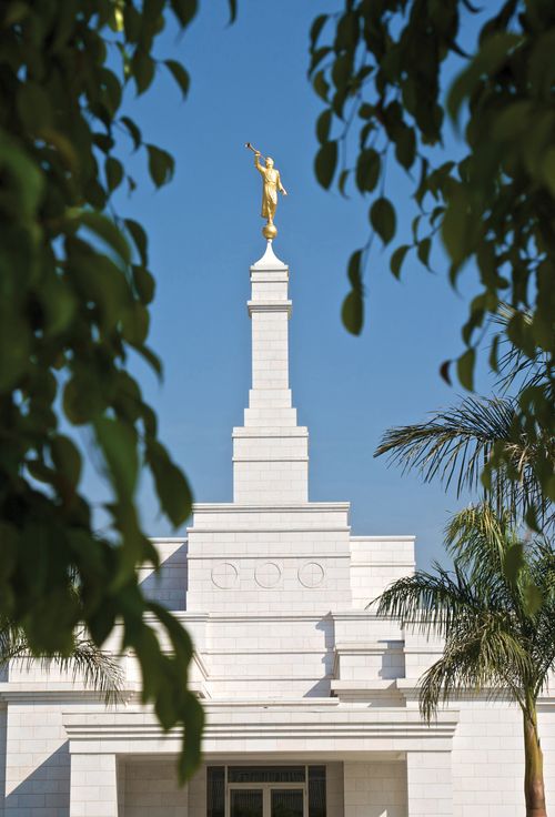 The spire on the Oaxaca Mexico Temple, with the angel Moroni on top and the green leaves of a tree on the temple grounds framing the view.