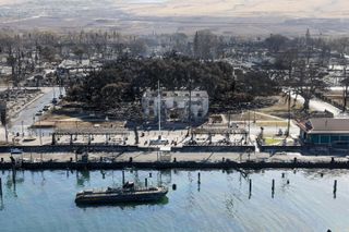 Lahaina, Maui, Thursday, August 11, 2023 - The iconic Banyan tree stands among the rubble of burned buildings days after a catastrophic wildfire swept through the city. (Robert Gauthier/Los Angeles Times via Getty Images)