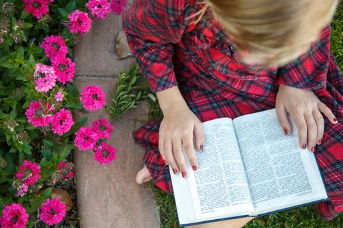 A young girl wearing a plaid dress sits on a patch of grass next to a bed of pink flowers and reads from the Book of Mormon.