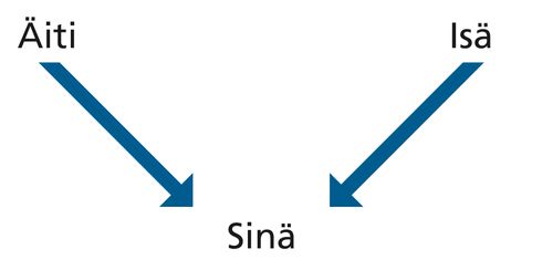 kaavio, vanhemmat, sinä