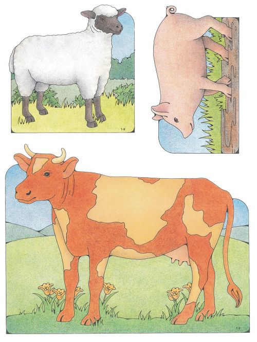 Primary cutouts of a white sheep with a black face, a pig standing in mud, and an orange cow with cream-colored spots standing on grass.